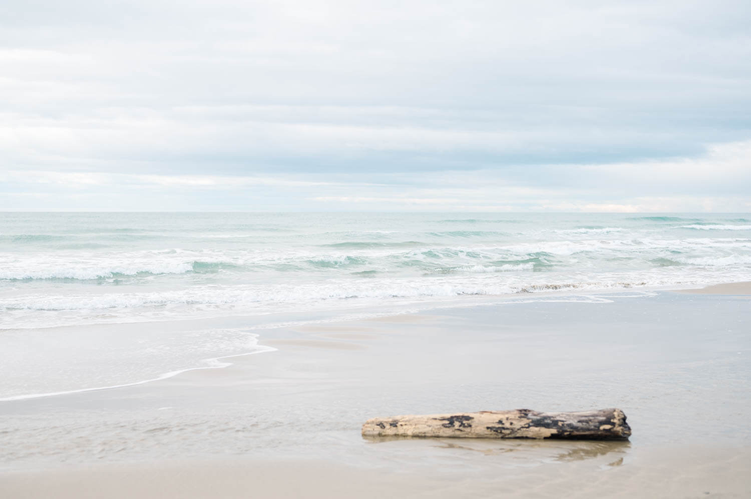 plage de l'espiguette