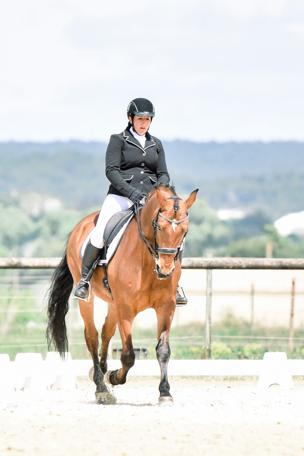 photographe equestre
