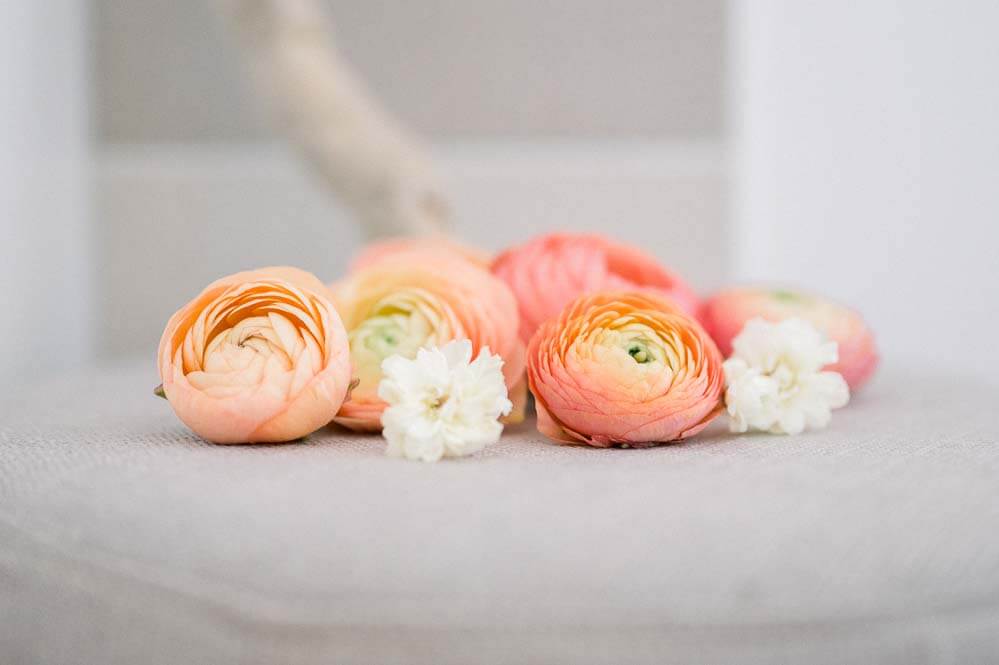 fleurs pour photographies maternité