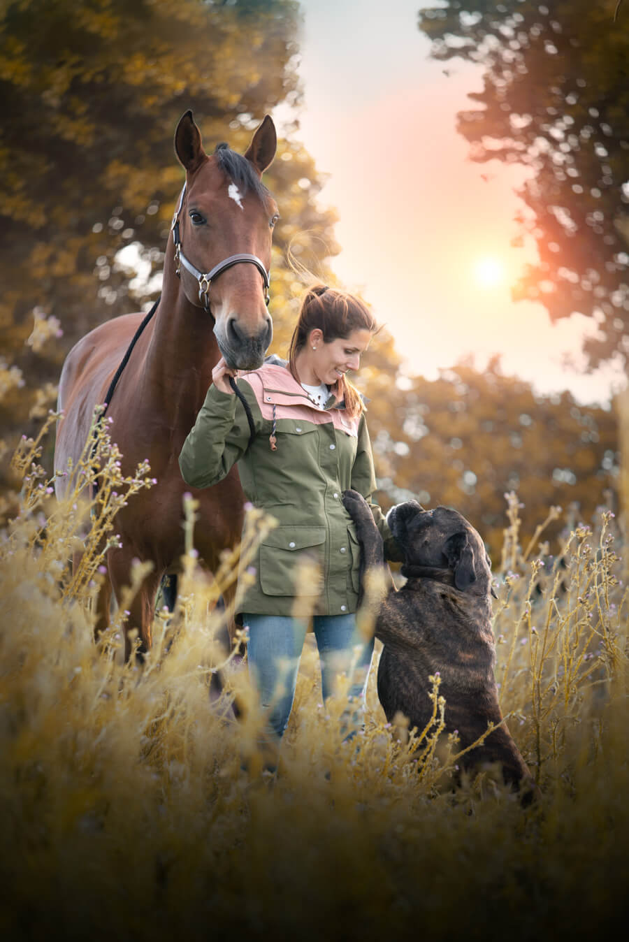 photographe animalier montpellier